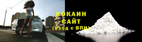 ешки Аркадак