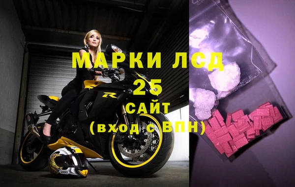 спайс Бородино
